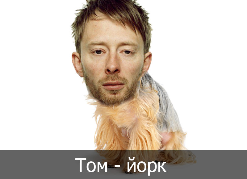 Том - йорк
