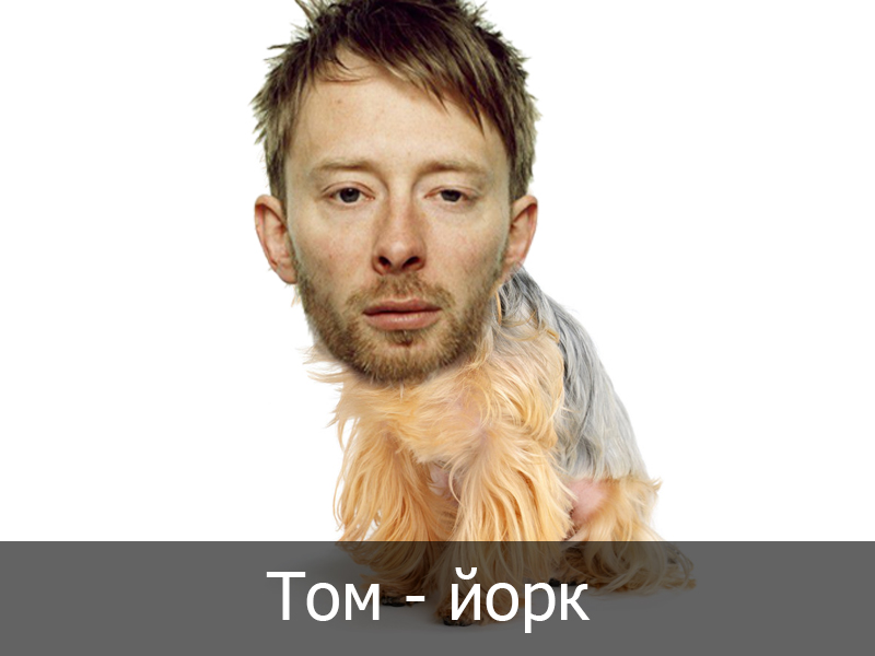 Том - йорк